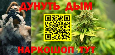 сатива Коммунар