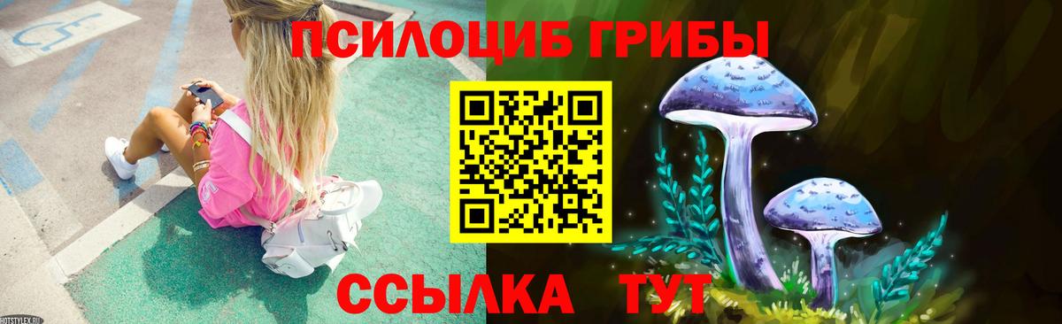 Карталы  Галлюциногенные грибы Psilocybe  Вход с VPN 